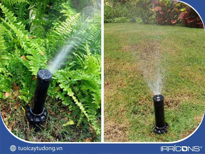 Bảo trì hệ thống tưới cây tự động