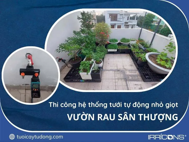 Thi công hệ thống tưới cây tự động nhỏ giọt cho vườn rau sân thượng tại quận Bình Tân