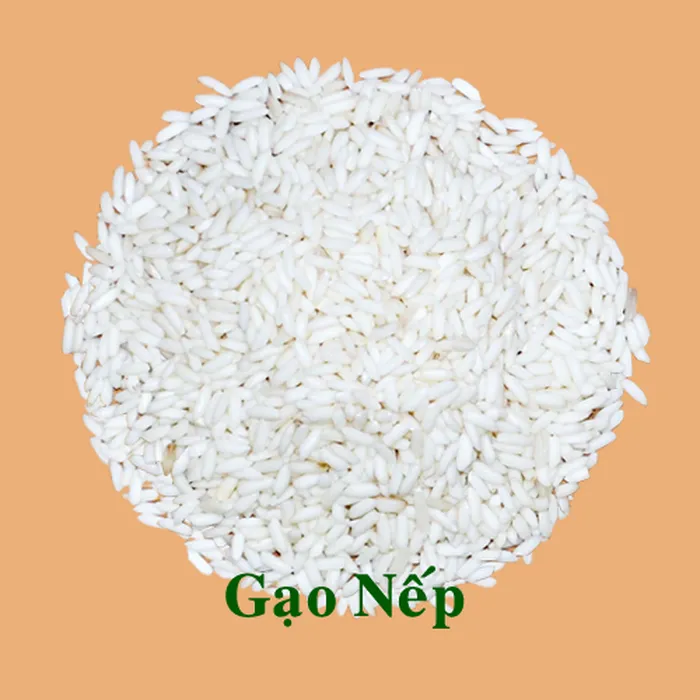Gạo nếp 10% tấm Gạo nếp 10% tấm