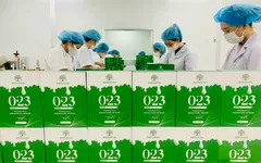 Bách Y Sâm 023 Duyên Thị 85ml – Tái Tạo