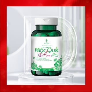 MỘC QUẾ HOA (PLUS)