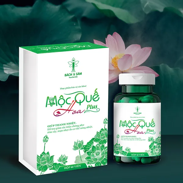 MỘC QUẾ HOA (PLUS)