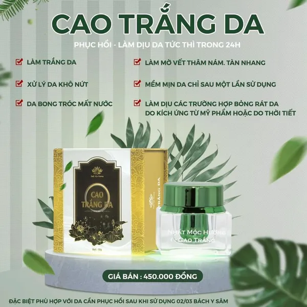 Cao Trắng Da  Bạch Linh Bách Y Sâm