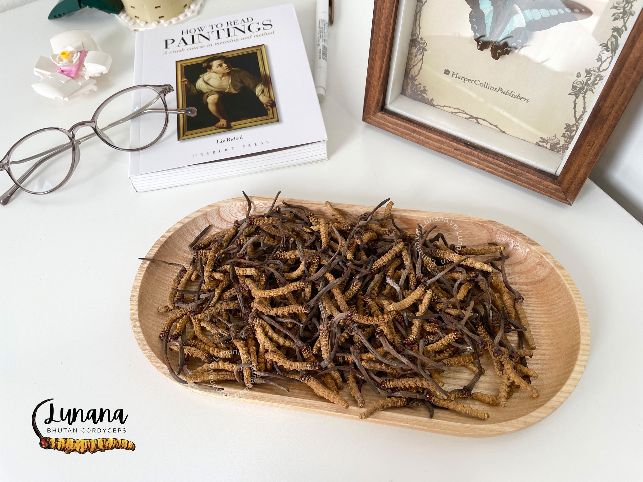 Tác dụng của đông trùng hạ thảo đối với bệnh thận Tác dụng của đông trùng hạ thảo đối với bệnh thận