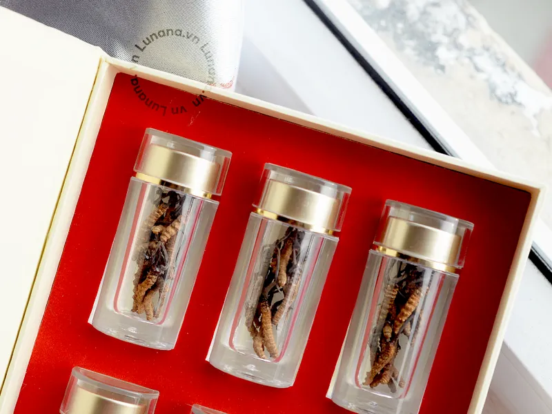 Đông trùng hạ thảo Lunana loại SuperA (10 gram)