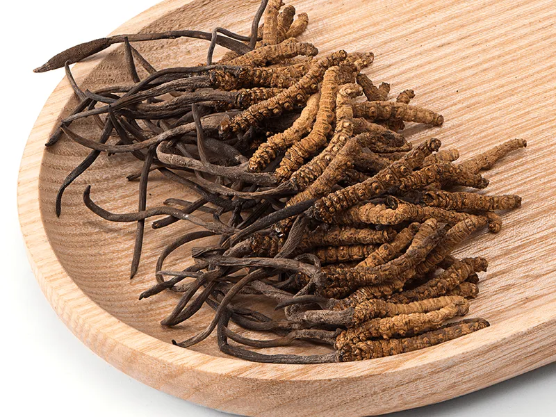 Đông trùng hạ thảo Bhutan Lunana loại Super VIP (10 Gram)