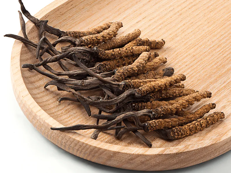 Đông trùng hạ thảo Bhutan Lunana loại AA (10 Gram) 