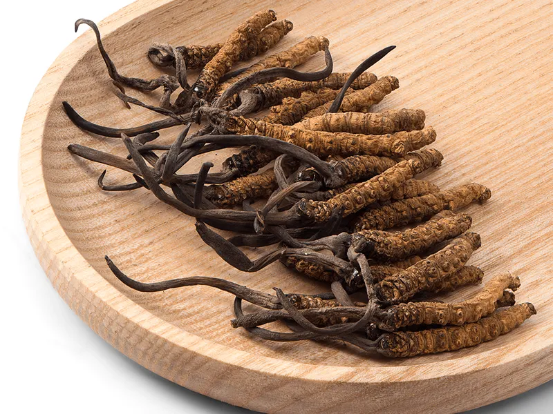 Đông trùng hạ thảo Bhutan Lunana loại A+ (10 Gram) 