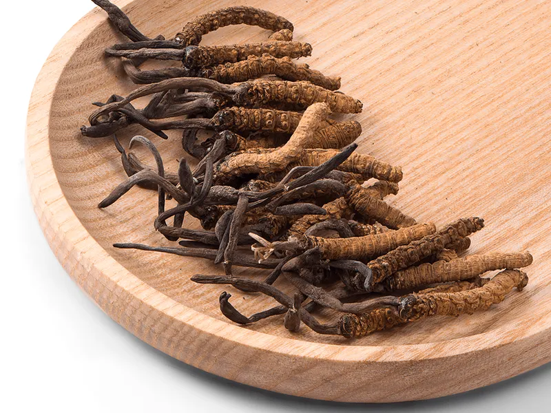 Đông trùng hạ thảo Bhutan Lunana loại A (10 Gram) 