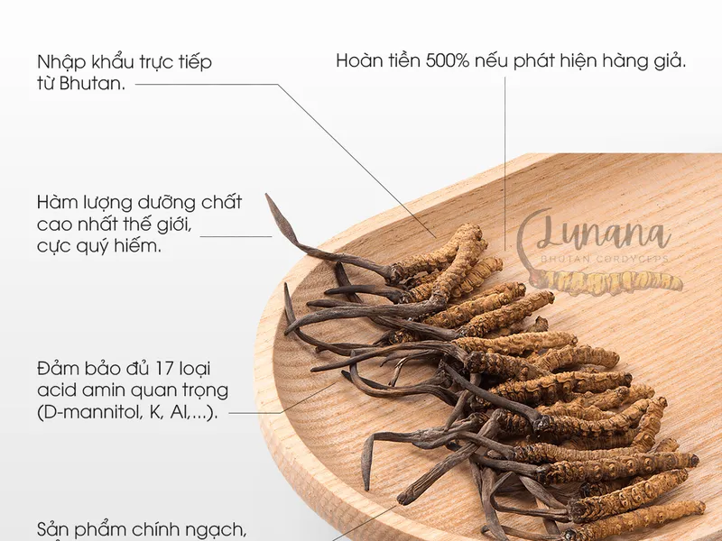 Đông trùng hạ thảo Bhutan Lunana loại AAA (10 Gram)