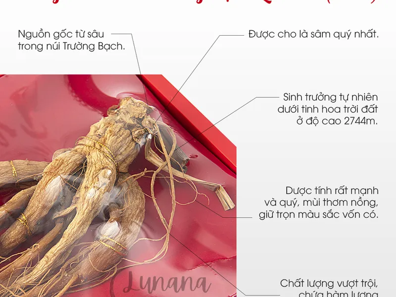 Hồng Sâm Núi Trường Bạch Lunana - Củ to (150gram)