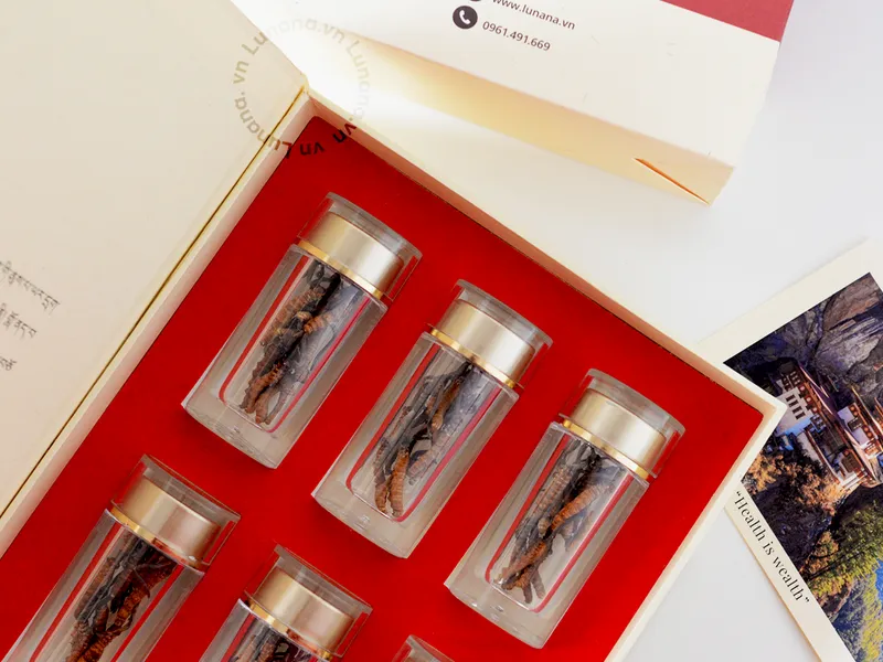 Đông trùng hạ thảo Lunana loại SuperA+ (20 gram)