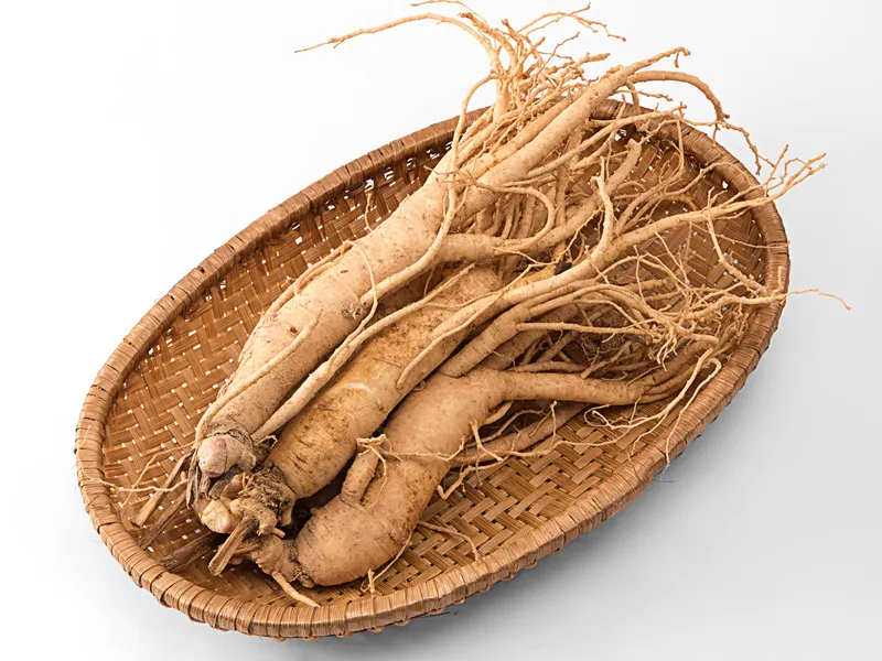 Sâm tươi Hàn Quốc 6 tuổi Lunana (20 củ/ kg)