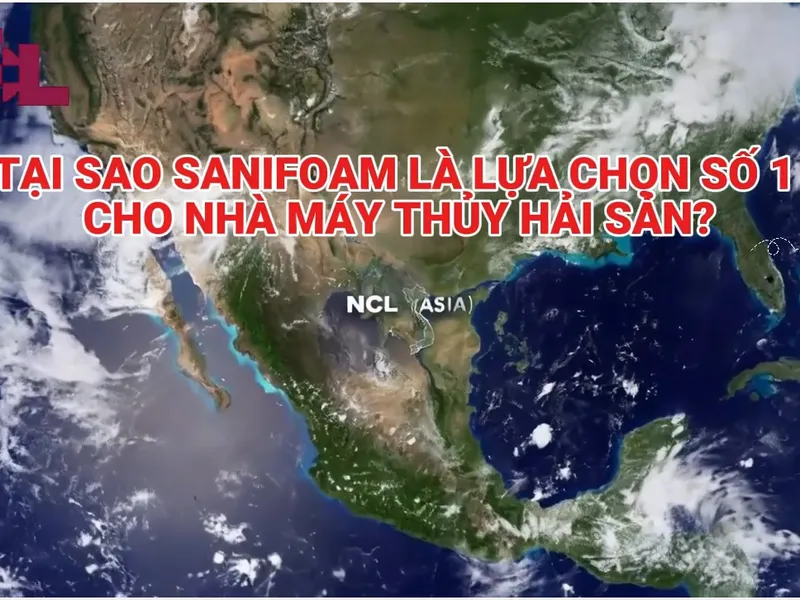 SANIFOAM – Bí quyết mang lại sự sạch sẽ tối ưu cho mọi nhà máy chế biến thủy sản!