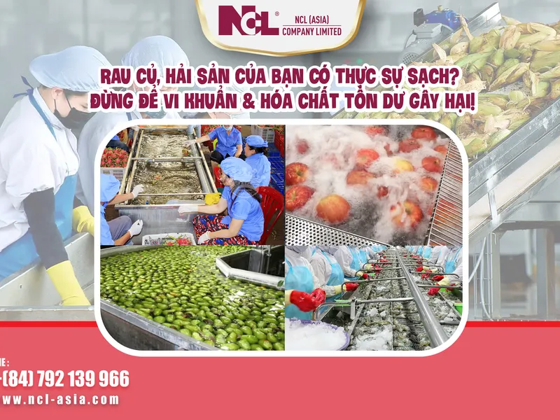 Rau củ, hải sản của bạn có thực sự sạch? Đừng để vi khuẩn & hóa chất tồn dư gây hại!