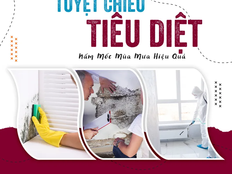 Tuyệt Chiêu Tẩy Nấm Mốc Cho Ngôi Nhà Xinh Của Bạn Mùa Mưa
