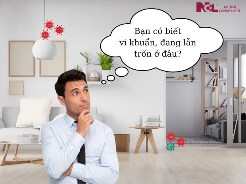 Bạn Có Biết Vi Khuẩn Đang Lẩn Trốn Ở Đâu Trong Nhà Mình Không?