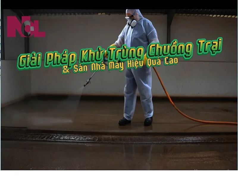 SANI SF-15 – Bảo vệ vật nuôi, an toàn sản phẩm, nâng cao chuẩn vệ sinh chuồng trại và sàn nhà.