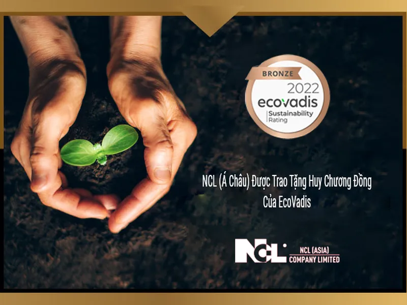 Chứng Nhận Bronze Ecovadis - Tiêu Chí Của Sự Phát Triển Bền Vững