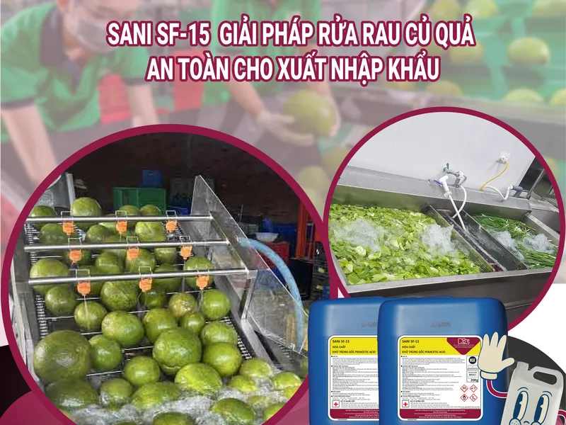SANI SF-15 – GIẢI PHÁP RỬA RAU CỦ QUẢ AN TOÀN CHO XUẤT NHẬP KHẨU