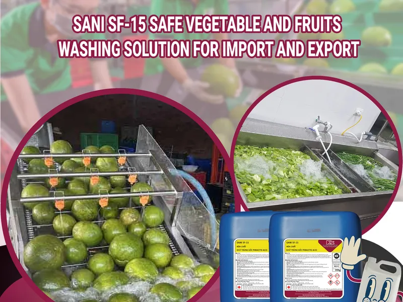 SANI SF-15 – SAFE VEGETABLE AND FRUITS WASHING SOLUTION FOR IMPORT AND EXPORT