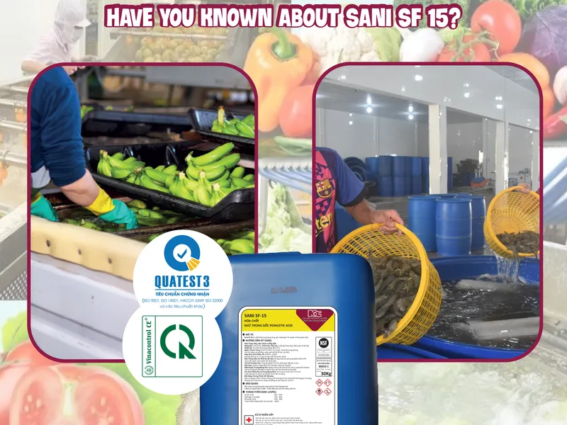 RESTAURANTS, FOOD FACTORIES... HAVE YOU KNOWN ABOUT SANI SF 15?