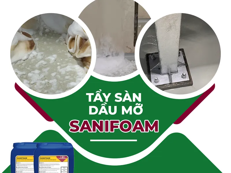 Làm Sạch Sàn Nhà Nhiều Dầu Mỡ Bằng Sanifoam Của NCL (Á Châu)