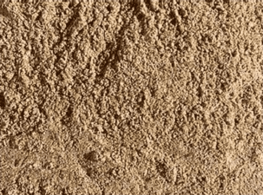 Men vi sinh cho ao tôm