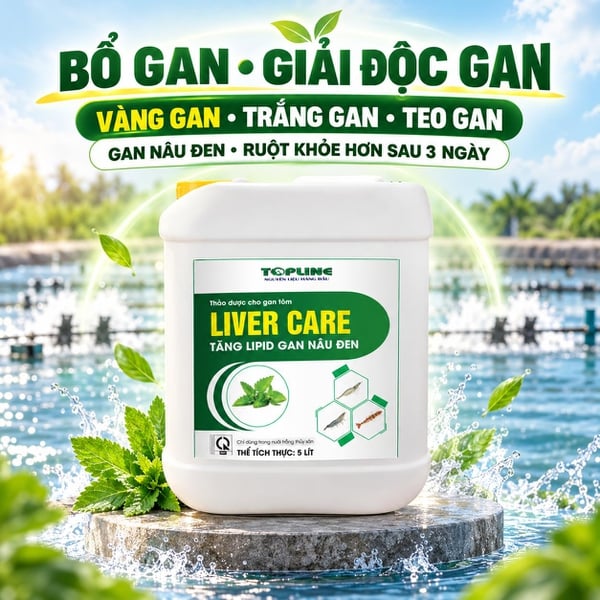 LIVER CARE