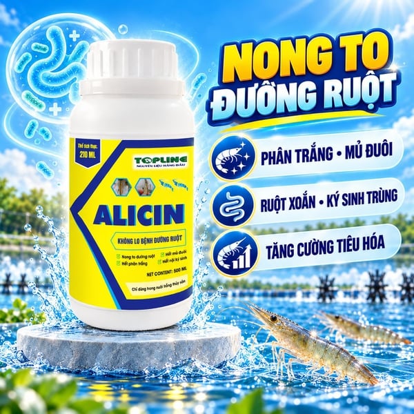 ALICIN