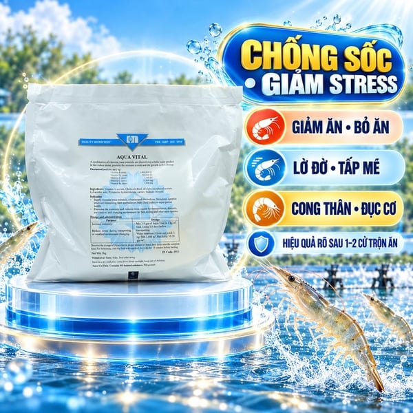 AQUA VITAL 