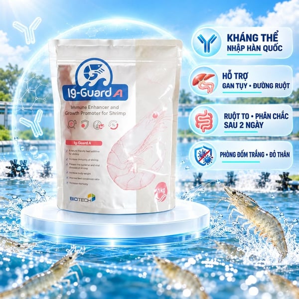 Ig-Guard A