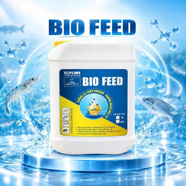 BIO FEED