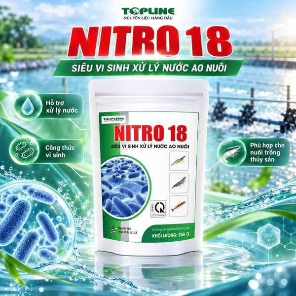 NITRO 18