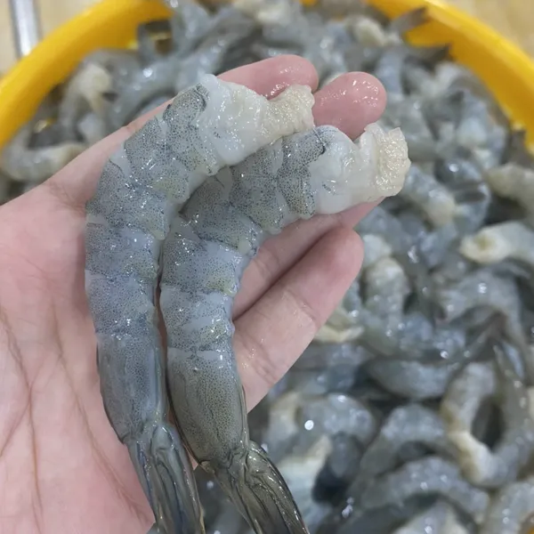 Tôm đông lạnh (Black tiger, Vannamei)