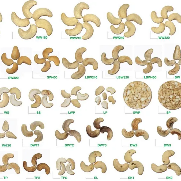 Hạt điều (Cashew nuts)