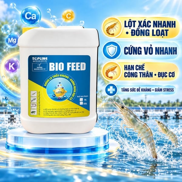 BIO FEED