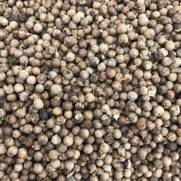 Hồ tiêu (Pepper)