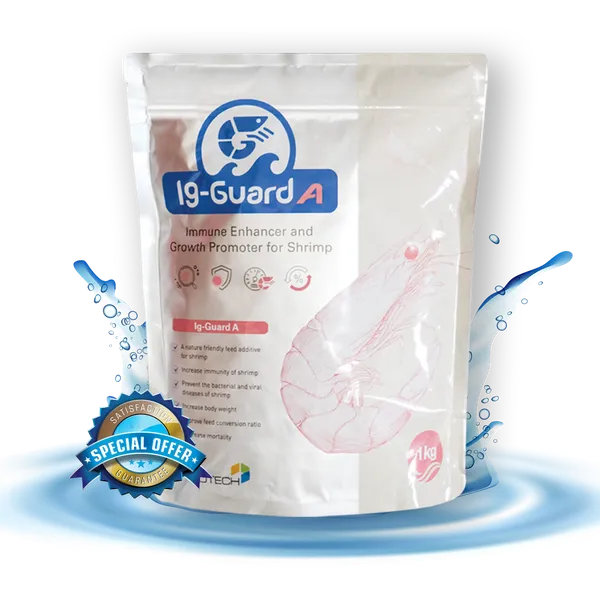 Kháng thể Ig-Guard A - Giải pháp tối ưu nhất phòng đỏ thân đốm trắng và các bệnh nhiễm khuẩn