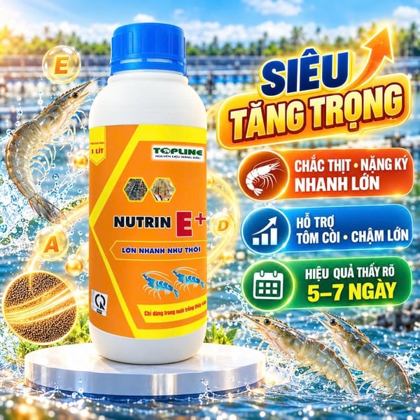 NUTRIN E+