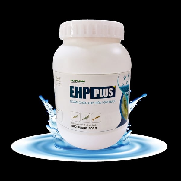 EHP PLUS