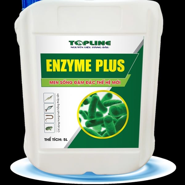 ENZYME PLUS
