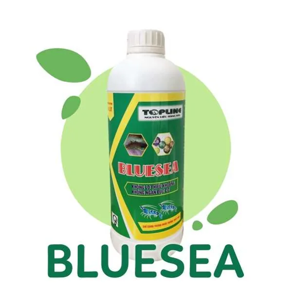 BLUESEA
