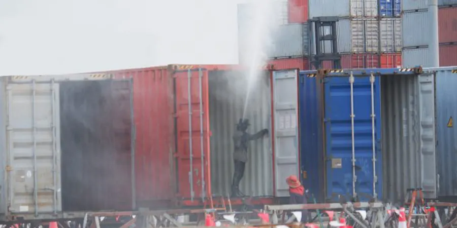 Import containers to be fumigated as Australia enforces Khapra beetle rules