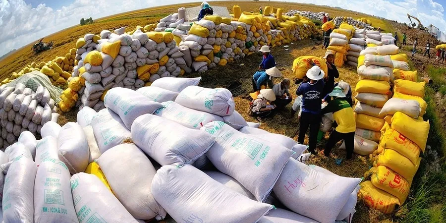 Bustling rice export