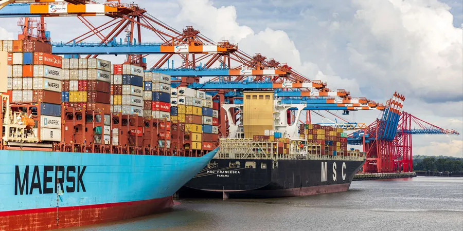 MSC and Maersk accused of abusing container dominance in Brazil