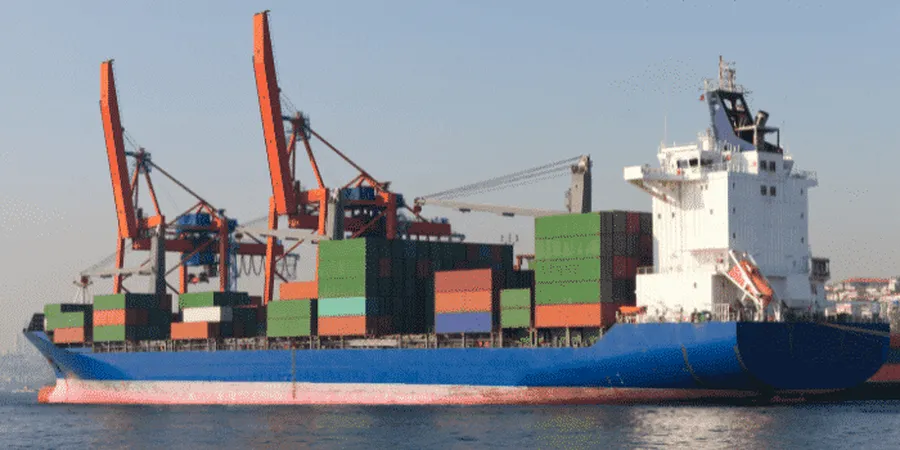 What are Container Carrier Alliances?