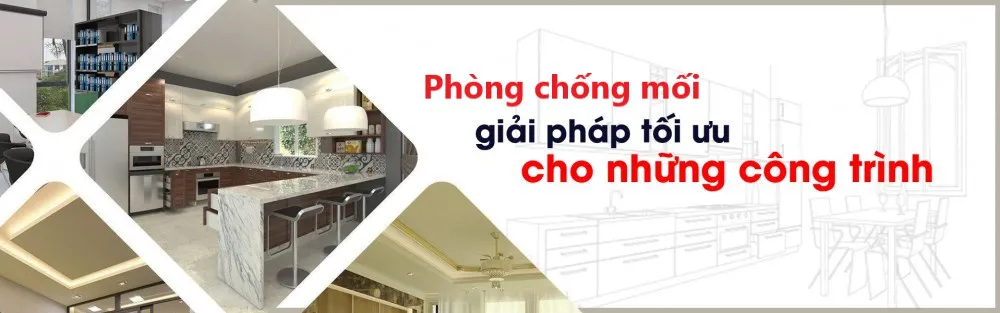 Diệt Mối Tận Gốc TP.HCM - Mang cuộc sống an toàn cho ngôi nhà của bạn