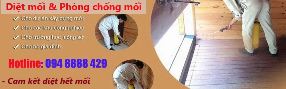Diệt Mối Tận Gốc TP.HCM - Mang cuộc sống an toàn cho ngôi nhà của bạn