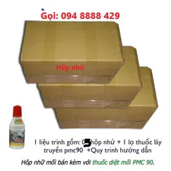BỘ DIỆT MỐI TẬN GỐC
